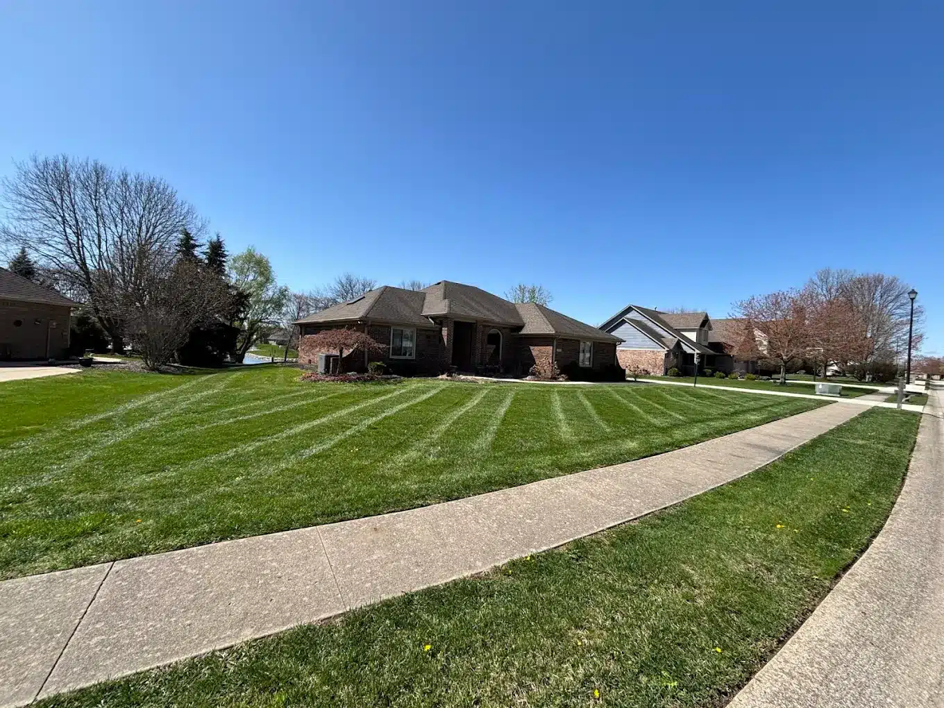 Aeration and Overseeding Lux Lawn Care and Landscaping1